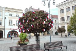 Vlajkovníky zdobí centrum Hranic / fotogalerie / Vlajkovníky na náměstí, foto: Ivana Žáková