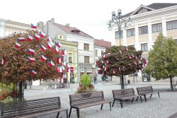 Vlajkovníky zdobí centrum Hranic / fotogalerie / Vlajkovníky na náměstí, foto: Ivana Žáková