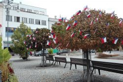 Vlajkovníky zdobí centrum Hranic / fotogalerie / Vlajkovníky na náměstí, foto: Ivana Žáková