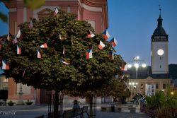 Vlajkovníky zdobí centrum Hranic / fotogalerie / Vlajkovníky v centru Hranic, foto: Jiří Necid