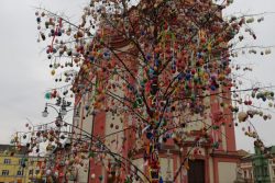 Kraslicovník oživuje centrum Hranic / fotogalerie / Kraslicovník na Masarykově náměstí, foto: Ivana Žáková