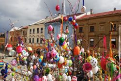 Kraslicovník oživuje centrum Hranic / fotogalerie / Kraslicovník na Masarykově náměstí, foto: Ivana Žáková