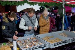 Velká fotoreportáž z rozsvícení vánoční stromu / fotogalerie / Program Andělských Vánoc a rozsvícení vánoční stromu. foto: Jiří Necid