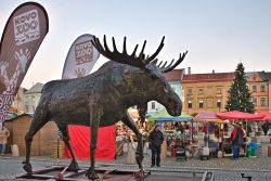 Velká fotoreportáž z rozsvícení vánoční stromu / fotogalerie / Program Andělských Vánoc a rozsvícení vánoční stromu, foto: Jiří Necid