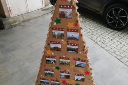 Vánoční stromky zdobí podloubí / fotogalerie / dav