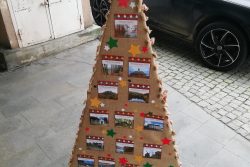 Vánoční stromky zdobí podloubí / fotogalerie / dav