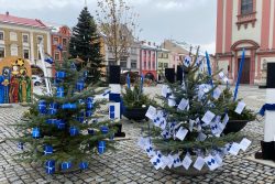 Centrum města se zbarvilo do modra / fotogalerie / Vánoční stromečky Foto: Kateřina Valentová
