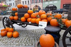 Podzimní farmářské trhy 2022 / fotogalerie / Podzimní farmářské trhy v Hranicích Foto: Naďa Jandová