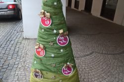 Dřevěné vánoční stromečky zdobí podloubí / fotogalerie / SPŠ Hranice, foto: Ivana Žáková