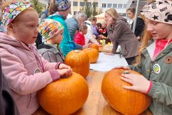 Oblíbené farmářské trhy se blíží / fotogalerie / 