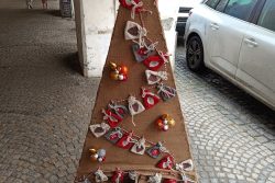 Dřevěné vánoční stromečky opět vyzdobí podloubí / fotogalerie / Výstava vánočních stromků 2023, foto: Ivana Žáková