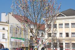 Zapojte se do zdobení Kraslicovníku / fotogalerie / Kraslicovník na Masarykově náměstí, foto: Jiří Necid